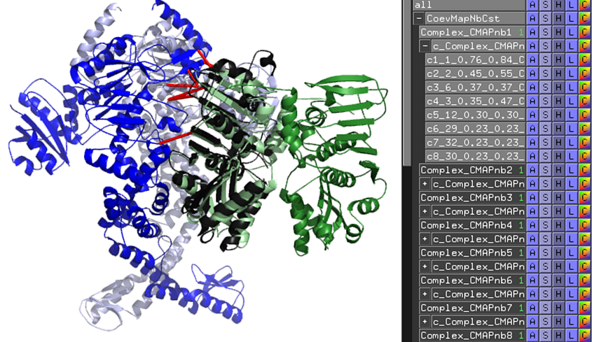 Comparison Model Exp MutSMuL