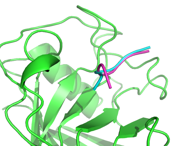 1AWR model and experimental conformations