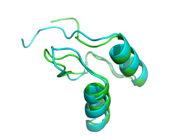 1w4g model and experimental conformations