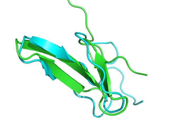 2ysh model and experimental conformations