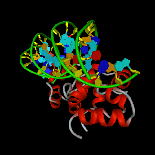 PPG Protein Picture Generator Help File